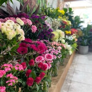 Meet your Posher, Jess